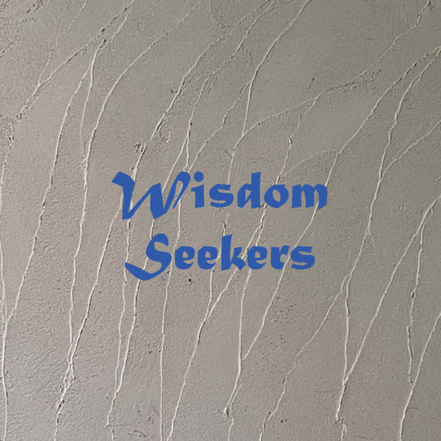 Mondays, 10 AM, Room 312 & Zoom
All women are welcome to join Wisdom Seekers each week for study, discussion, and fellowship.
